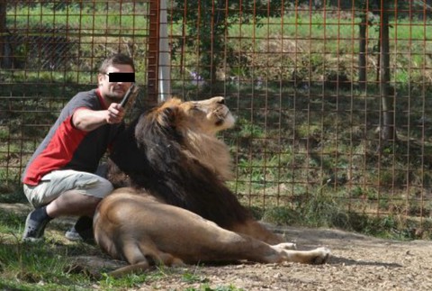FOTO: Tragédia v Česku. Lev roztrhal svojho 33-ročného chovateľa