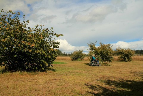 Norma Bauerschmidt.jpg