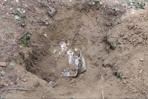 [multi] 070724XMZ 5070