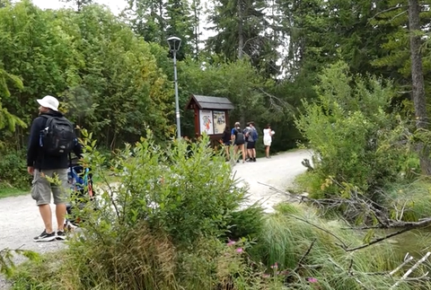 Screenshot 2024-08-10 180513