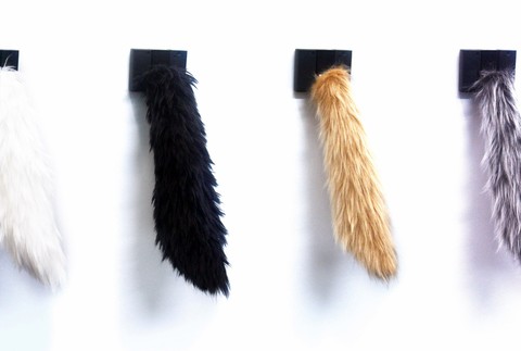 Chvost srdcový pulz tep srdce pes psík pre človeka vynález