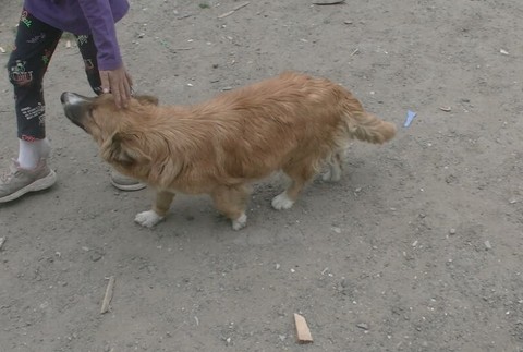 Láska za 3 eurá (4)