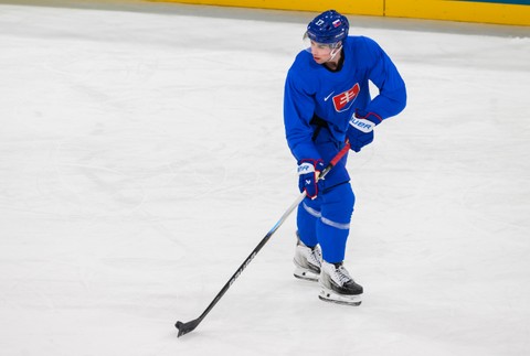 20261002_zoh_hokej_trening_23193105