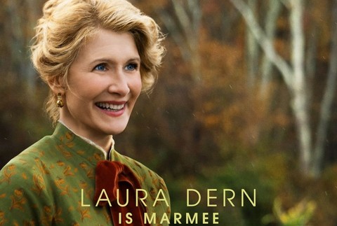 MALÉ ŽENY - Laura Dern