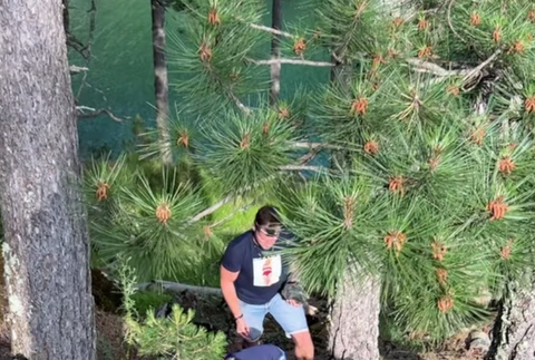 Snímka obrazovky 2023-07-23 o 13.18.57