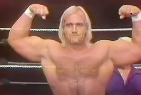 Hulk Hogan