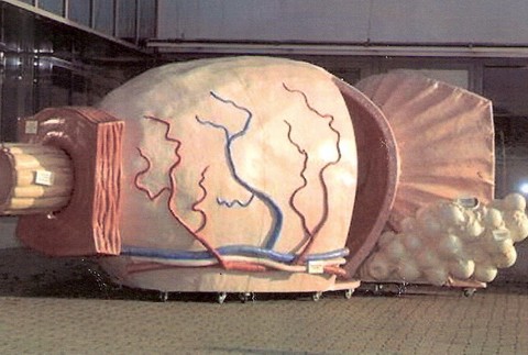 Výstava mužský pohlavný úd Bratislava