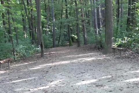 [multi] Dohryzena zena 11242