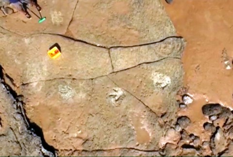 Austrália stopy dinosaurus 3