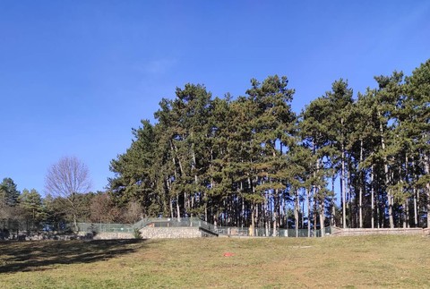 Zoo Bojnice - lampión šťastia vo výbehu oryxov