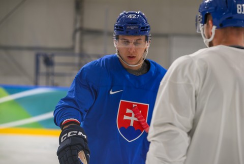 20260702_ZOH_hokejisti_trening_06192091