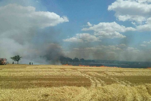 Polia v dedine pri Piešťanoch zachvátil obrovský požiar. Polícia premávku zastavila