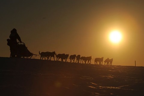 Iditarod 2011