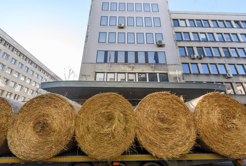 farmári protest (4)