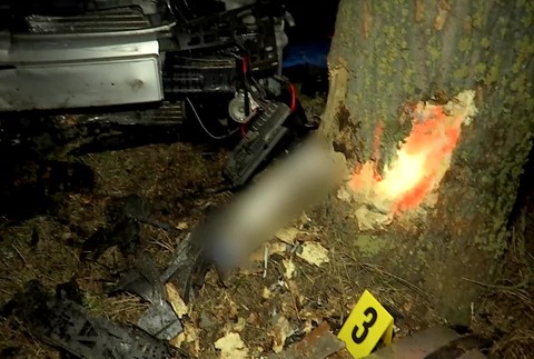 [multi] Naraz do stromu. 9205