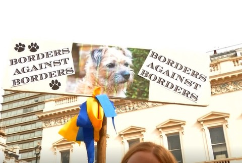 Do londýnskych ulíc vyšli aj psy. Štekali za šialenstvo brexitu