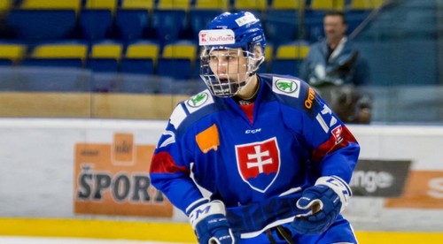 Našľapaná slovenská osemnástka sa chystá na Hlinka Gretzky Cup