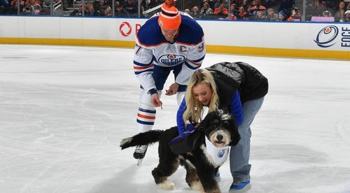 Aký pán, taký pes. McDavidov miláčik ovládol preteky Oilers