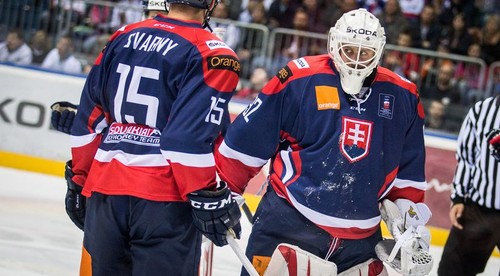 Slováci prišli pred MS v Dánsku už o druhého brankára