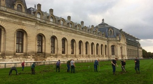 Nevítaní návštevníci. Diviaky rozryli dráhu vo francúzskom Chantilly