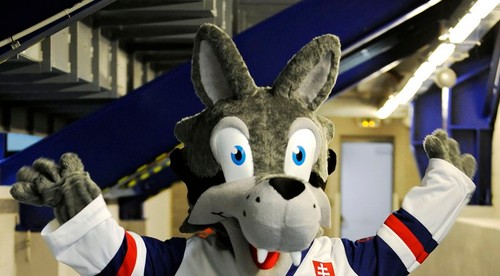 MS v ľadovom hokeji 2011 - Slovensko (Bratislava – Košice)