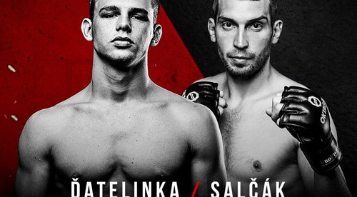 Milan Ďatelinka: Myslel som si, že s MMA nadobro skončím