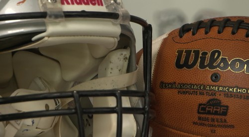 Slovenský UFC zápasník, tisíce fanúšikov na tribúnach a kanadský tréner. Nitra Knights do ďalšej sezóny posilňuje