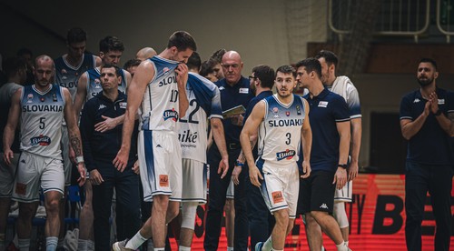 Dánsko - Slovensko o postup do kvalifikácie ME 2025