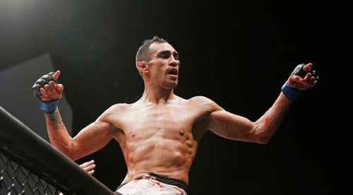 Jedenásty deň karantény: bizarné tréningy MMA bojovníkov