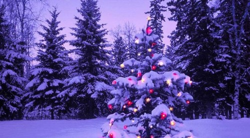 Šťastné a veselé Vianoce