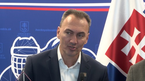 V prvej fáze projektu SZĽH a MŽP dostalo podporu sedem zimných štadiónov