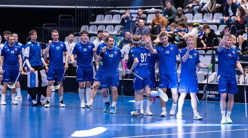 Slovensko postúpilo na majstrovstvá sveta. Tréner čakal viac gólov
