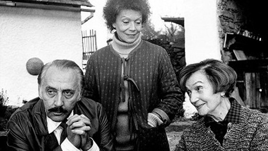 Jak napálit advokáta