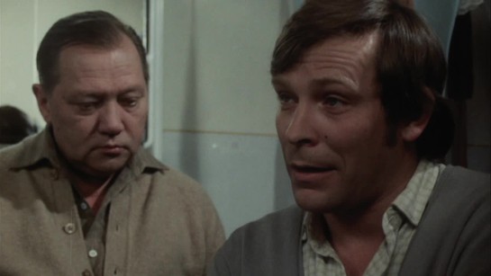 Dým bramborové natě