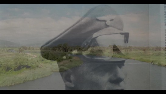 Poklad Lišky pouště