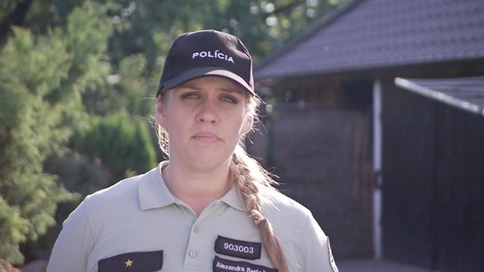 Policajti v akcii