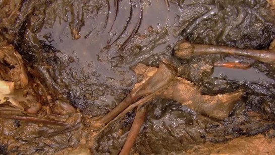 Hon na čarodějnice