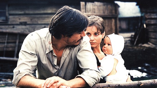 Stíny horkého léta