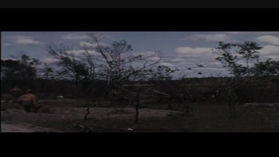 Vietnamská džungle smrti