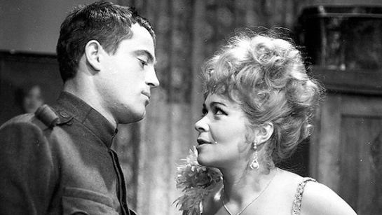 Hvězda zvaná Pelyněk