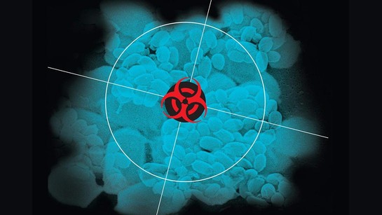 Obchodníci s antraxem