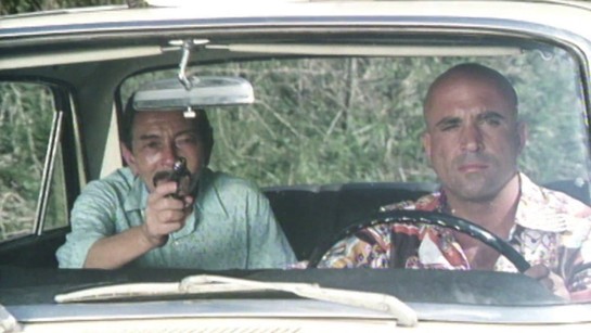 Rukojmí v Bella Vista