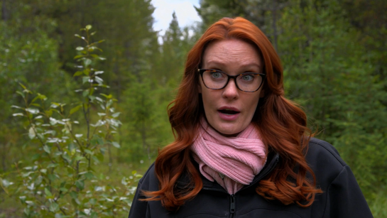 Dešifrované záhady I.