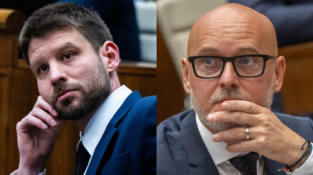 SaS chce ísť do volieb samostatne, Šimečka má iný názor