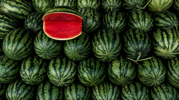 Kupujete melón? Týchto 5 trikov vám pomôže vybrať ten najsladší