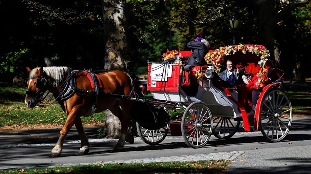 Koniec legendárnej atrakcie v New Yorku? Mesto schválilo zákaz konských povozov