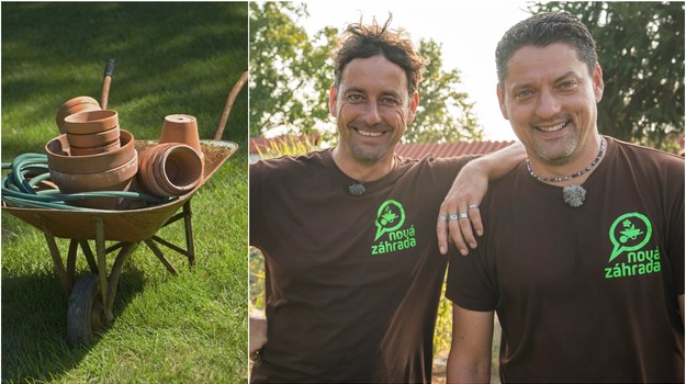 Vyzerá to na jar, ale pozor, marcové slnko klame: Tieto práce vám môžu zničiť záhradu!