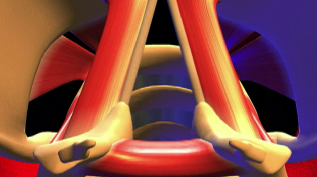 Stratili ste hlas? Toto je 13 dôvodov, prečo môžete byť zachrípnutí