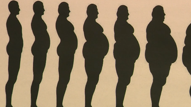 Štúdia zistila, že ľudia, ktorí pracujú dlhšie, majú väčšiu pravdepodobnosť obezity