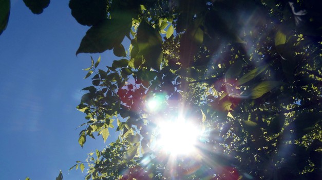 Nedeľa prepisovala rekordy. Aké počasie prinesie Veľkonočný pondelok?